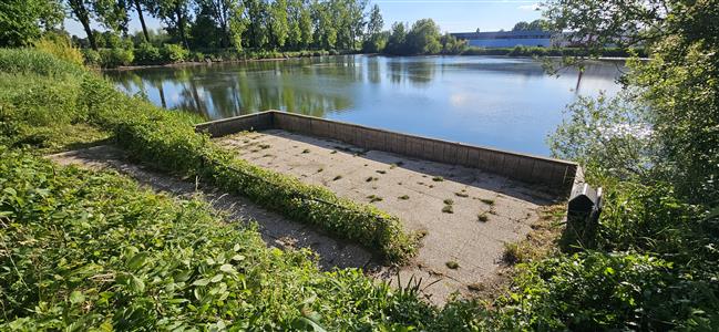 Invalide steiger Vijver 2