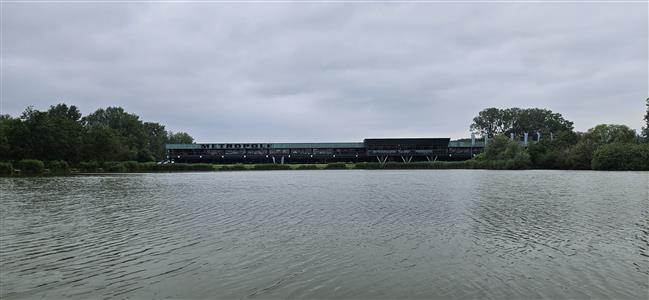 Metropole (vijver 3)